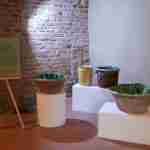 Museum of ceramic “L.Coccapani”