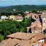 Palaia