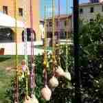 Museum of ceramic “L.Coccapani”