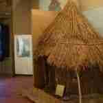 Archeological Museum of Baciocchi Villa