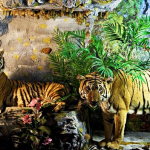 Zoological Museum of Bacioccchi Villa